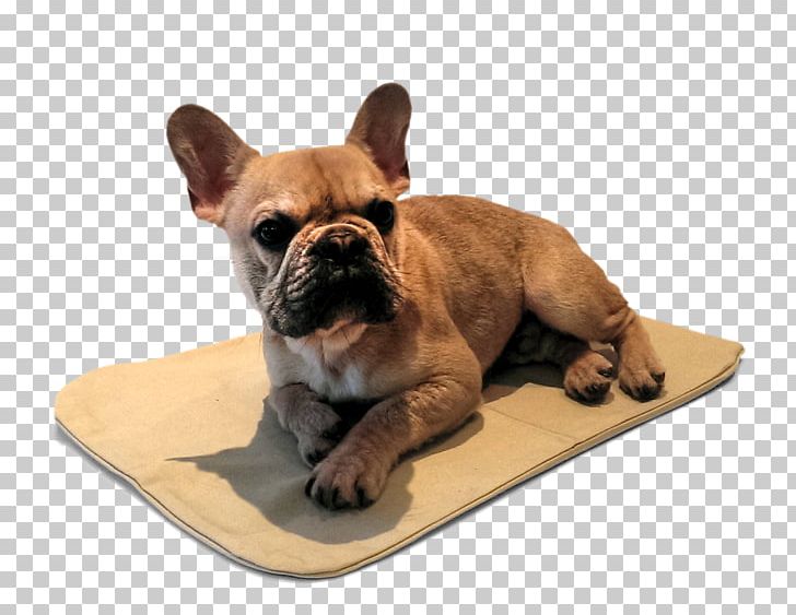 French Bulldog Toy Bulldog Puppy Fawn PNG, Clipart, Animal, Animals, Animation, Bulldog, Canidae Free PNG Download
