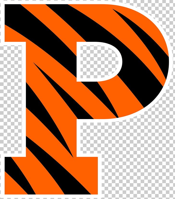 Princeton University Rider University Princeton Tigers Women's Ice Hockey Princeton Tigers Men's Basketball Princeton Tigers Football PNG, Clipart, Angle, Animals, Area, Artwork, Graphic Design Free PNG Download