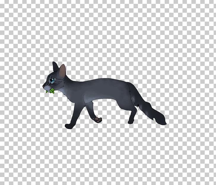 Whiskers Cat Dog Fauna Wildlife PNG, Clipart, Animal, Animal Figure, Animals, Canidae, Carnivoran Free PNG Download