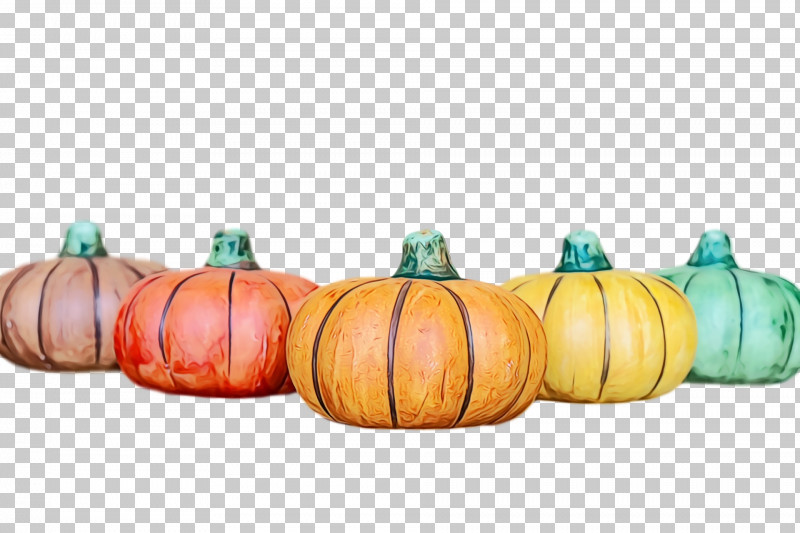 Squash Winter Squash Gourd Vegetable PNG, Clipart, Gourd, Paint, Squash, Vegetable, Watercolor Free PNG Download