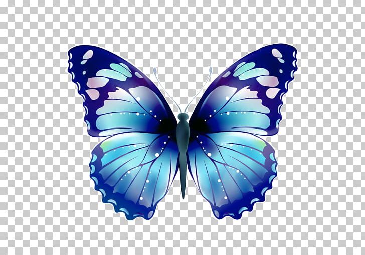 Butterfly Insect Brush-footed Butterflies PNG, Clipart, Arthropod, Blue, Brush Footed Butterfly, Desktop Wallpaper, Electric Blue Free PNG Download