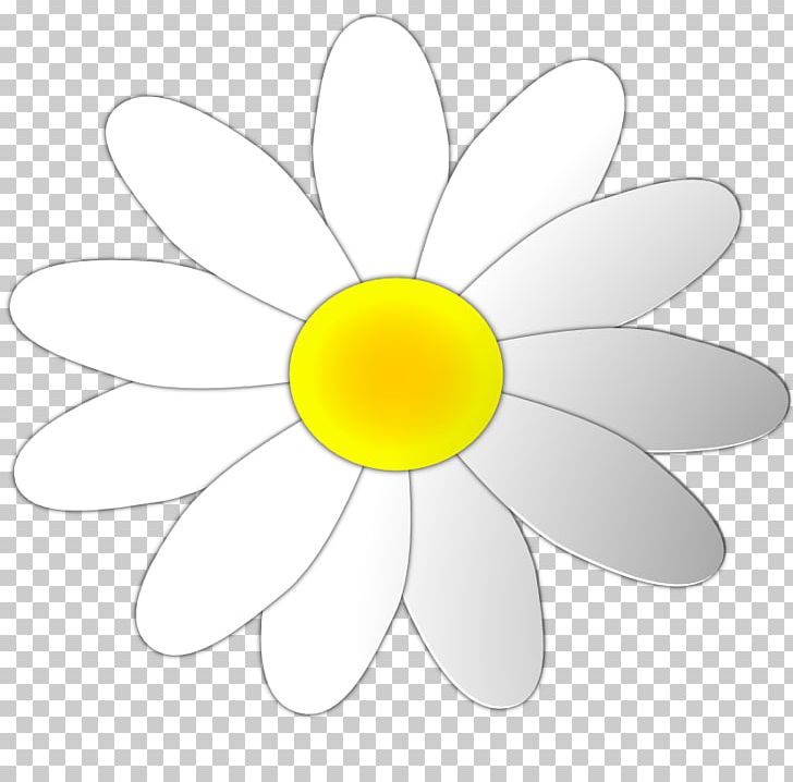 Common Daisy PNG, Clipart, Blog, Circle, Common Daisy, Daisy, Daisy Flower Outline Free PNG Download