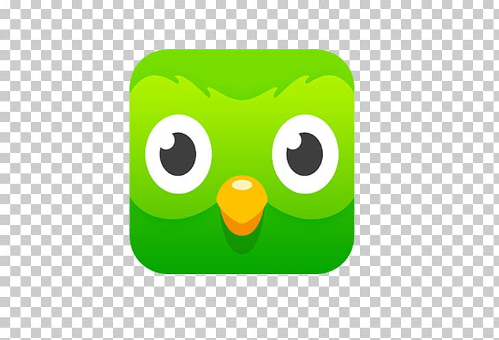 Duolingo Learning Foreign Language Translation PNG, Clipart, Android, Beak, Before You Know It, Bird, Duolingo Free PNG Download