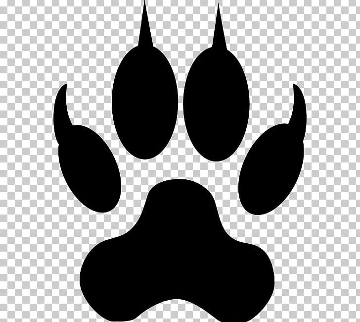 Lion Dog Tiger Cougar Black Panther PNG, Clipart, Black, Black And White, Black Panther, Cat, Cougar Free PNG Download