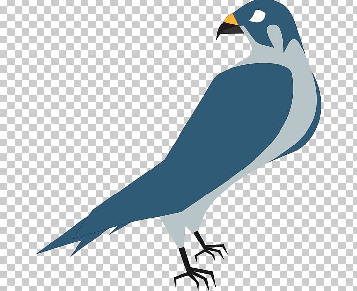 Red-tailed Hawk PNG, Clipart, Art, Beak, Bird, Bird Of Prey, Clip Art Free PNG Download