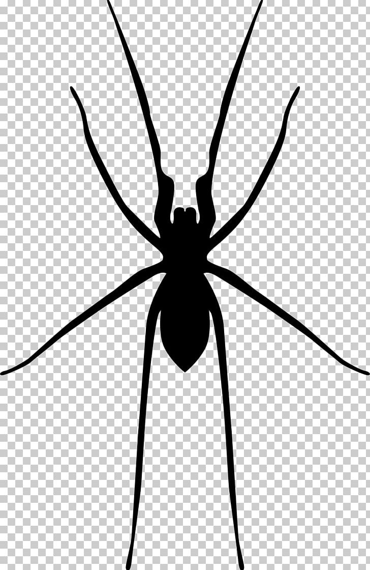 Spider Web Widow Spiders PNG, Clipart, Animal, Arachnid, Arthropod, Black And White, Fly Free PNG Download