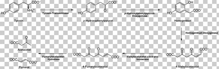 Tyrosine Citric Acid Cycle Proteinogenic Amino Acid Thyroxine PNG, Clipart, Acetoacetic Acid, Acid, Amino Acid, Angle, Material Free PNG Download