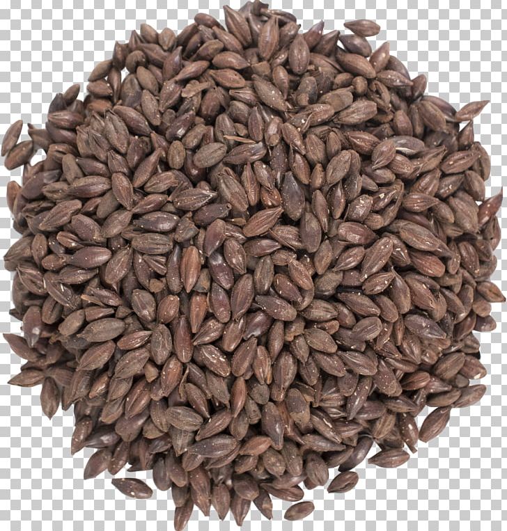 Beer Stout Malt Bitter Distilled Beverage PNG, Clipart, Barley, Beer, Beer Brewing Grains Malts, Bitter, Cereal Free PNG Download