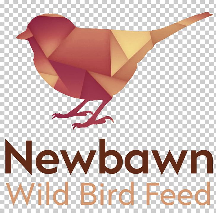 Bird Food Drawing PNG, Clipart, Animals, Beak, Bird, Bird Feeding, Bird Food Free PNG Download
