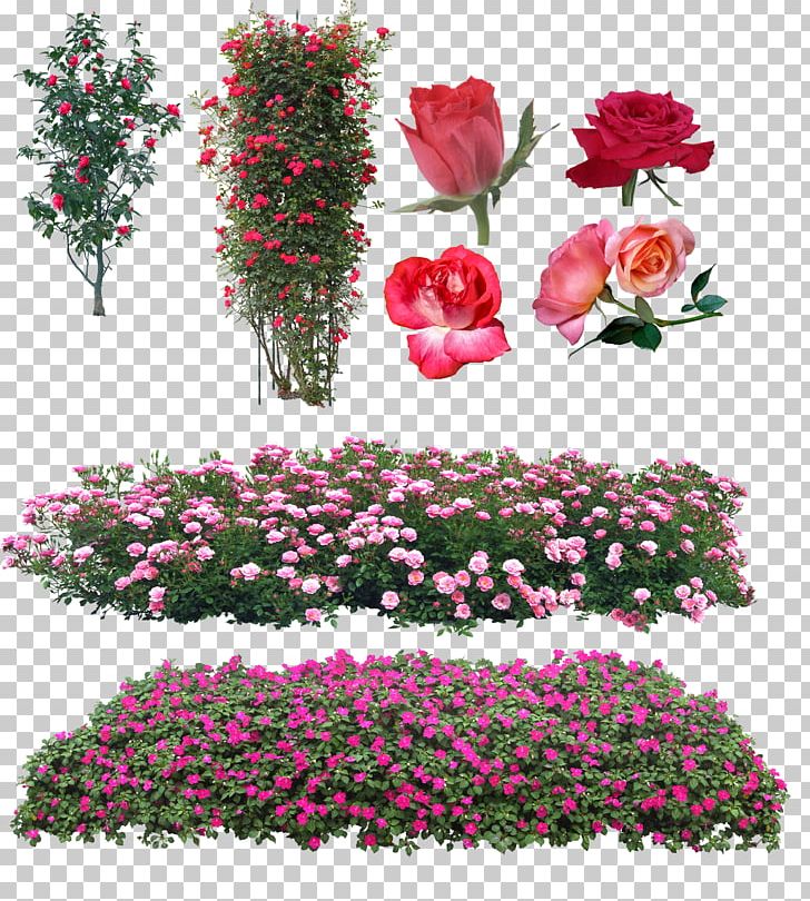 Garden Roses Floral Design Pink Flower PNG, Clipart, Annual Plant, Cut Flowers, Flora, Floral Design, Floristry Free PNG Download