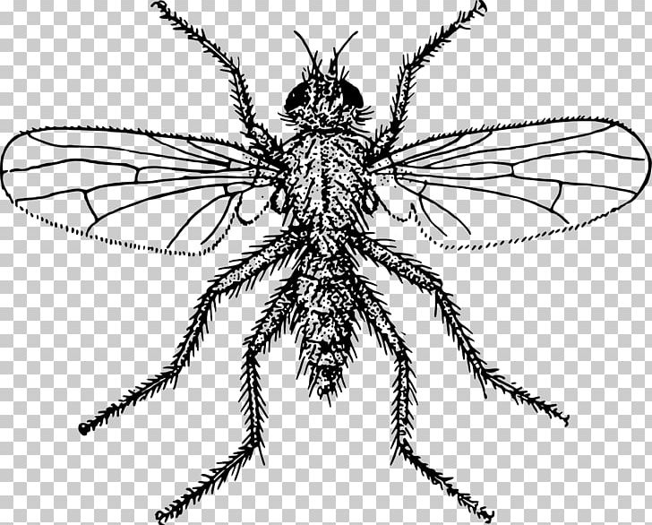 Public Domain Drawing PNG, Clipart, Arthropod, Bee, Black And White, Drawing, Fishing Free PNG Download