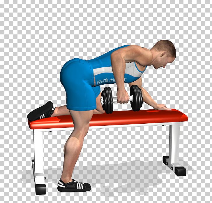 Bent-over Row Bench Dumbbell Latissimus Dorsi Muscle PNG, Clipart, Abdomen, Angle, Arm, Balance, Barbell Free PNG Download