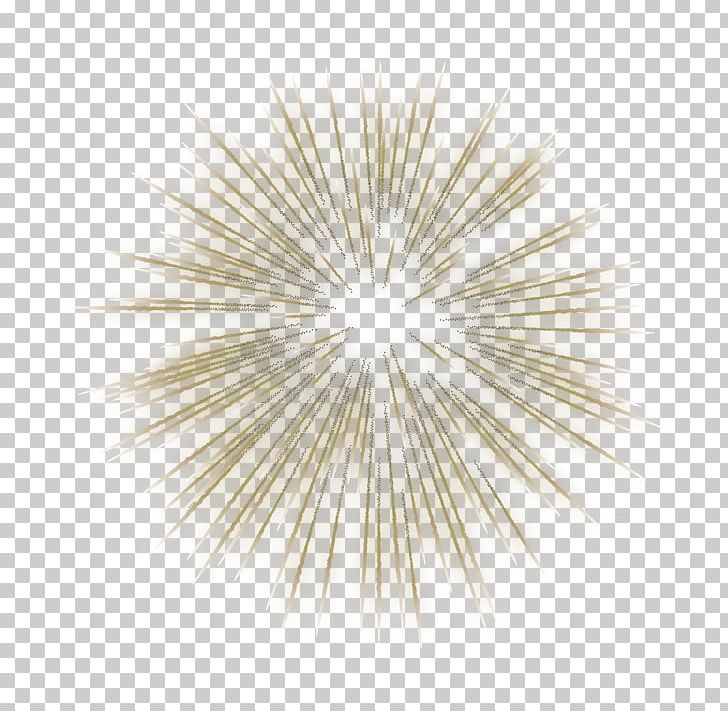 Fireworks Firecracker PNG, Clipart, Adobe Fireworks, Chinese New Year, Circle, Clip Art, Clipart Free PNG Download