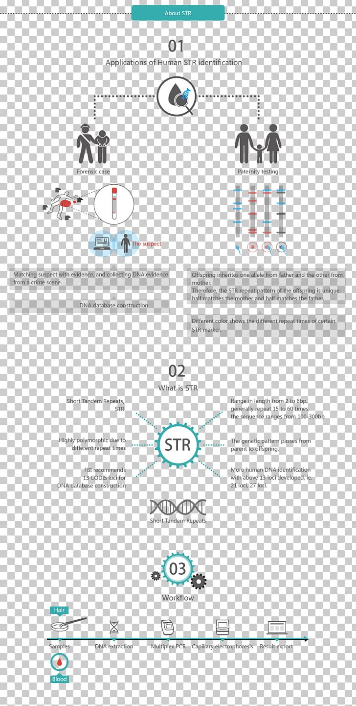 Logo Brand Organization Font PNG, Clipart, Area, Art, Brand, Cyp2c19, Diagram Free PNG Download