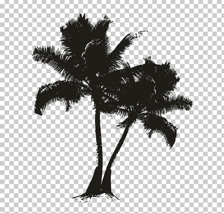 Asian Palmyra Palm Date Palm Black Silhouette White PNG, Clipart, Arecaceae, Arecales, Asian Palmyra Palm, Black, Black And White Free PNG Download