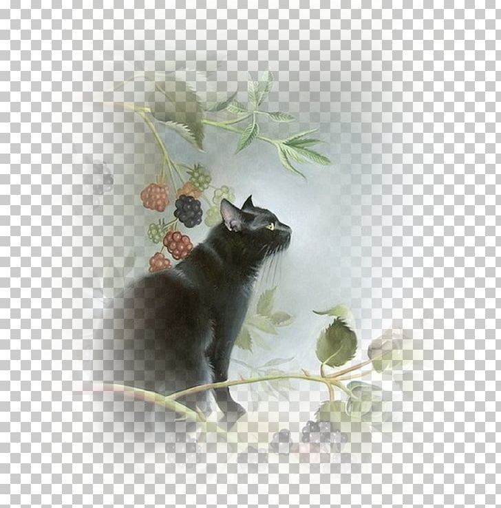 Black Cat Kitten Le Chat Noir Pet PNG, Clipart, Animal, Animals, Art, Background Black, Black Free PNG Download