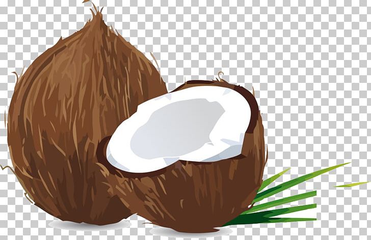 Coconut Material PNG, Clipart, Chocolate, Coconut, Coir, Food, Fruit Nut Free PNG Download