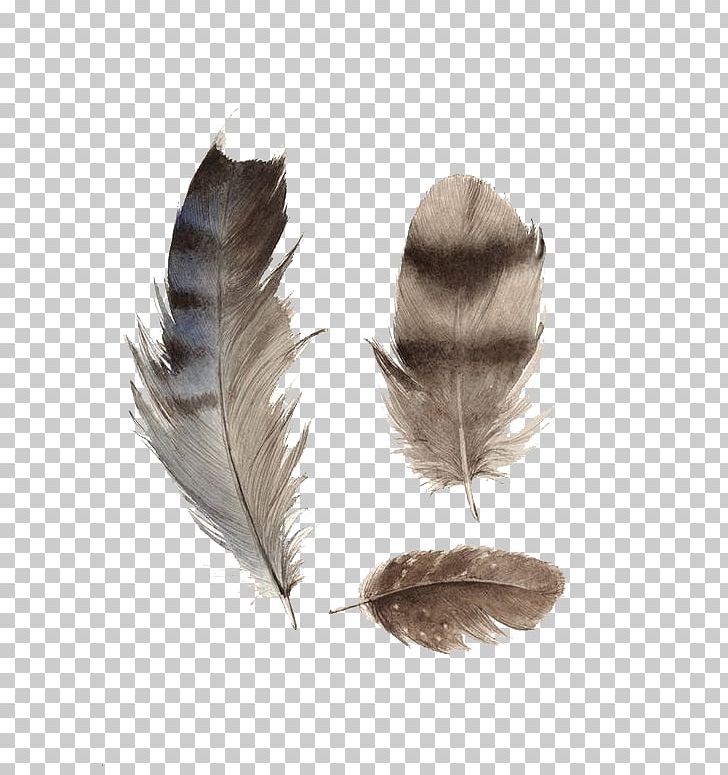 Paper Panel Painting Feather Wood PNG, Clipart, Animals, Art, Balloon Cartoon, Birdie, Birds Free PNG Download