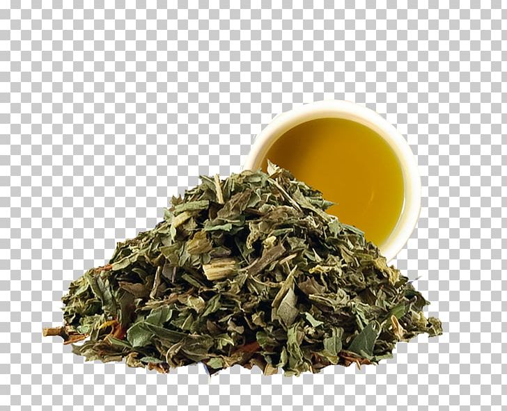 Nilgiri Tea Hōjicha Tea Bag Peppermint PNG, Clipart, Aroma, Assam Tea, Bag, Bai Mudan, Bancha Free PNG Download