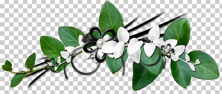 Time No Ga Writer PNG, Clipart, Blog, Bracket, Branch, Cut Flowers, Divider Free PNG Download