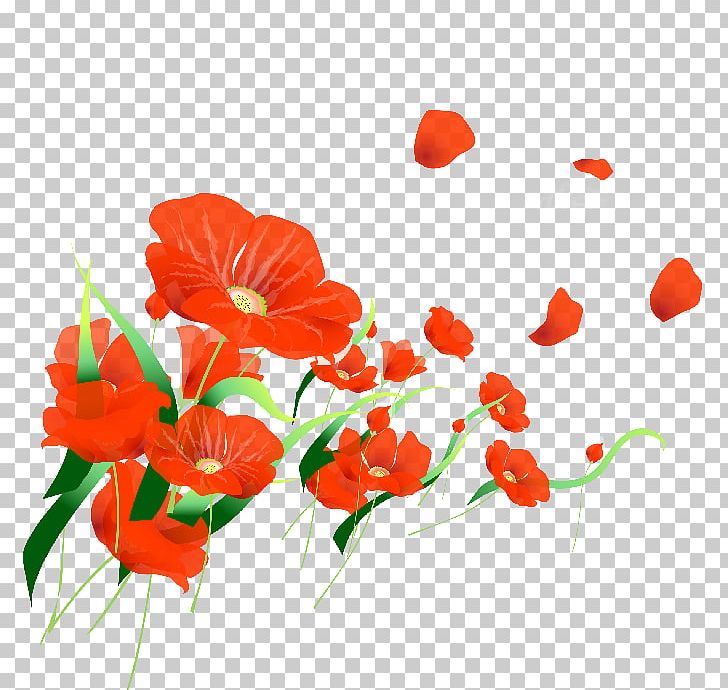Crystal Skate Ice Rink Pavlo Tychyna Uman State Pedagogical University Remembrance Poppy Prospekt Truda PNG, Clipart, Beauty, Coquelicot, Cosmetology, Cut Flowers, Flora Free PNG Download