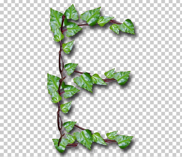 Letter Common Ivy YouTube Leaf Alphabet Inc. PNG, Clipart, Alphabet, Alphabet Inc, Birch, Branch, Common Ivy Free PNG Download