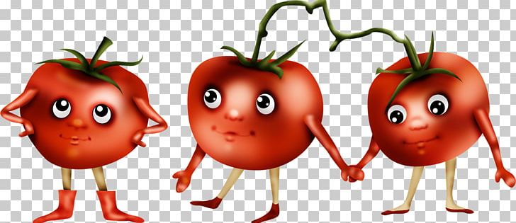 Tomato Food PNG, Clipart, Apple, Cartoon, Diet, Diet Food, Food Free PNG Download