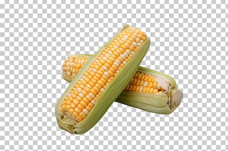 Corn On The Cob Corn Flakes Sweet Corn Maize PNG, Clipart, Cartoon Corn, Cereal, Commodity, Corn, Corn Cartoon Free PNG Download