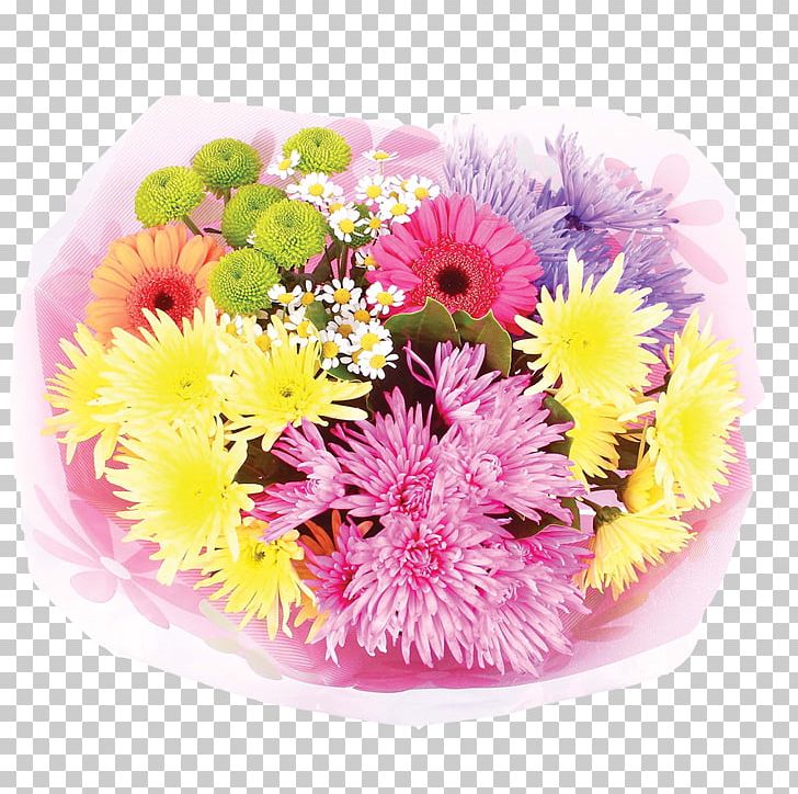 Cut Flowers Floral Design Floristry Transvaal Daisy PNG, Clipart, Annual Plant, Aster, Chrysanthemum, Chrysanths, Common Daisy Free PNG Download