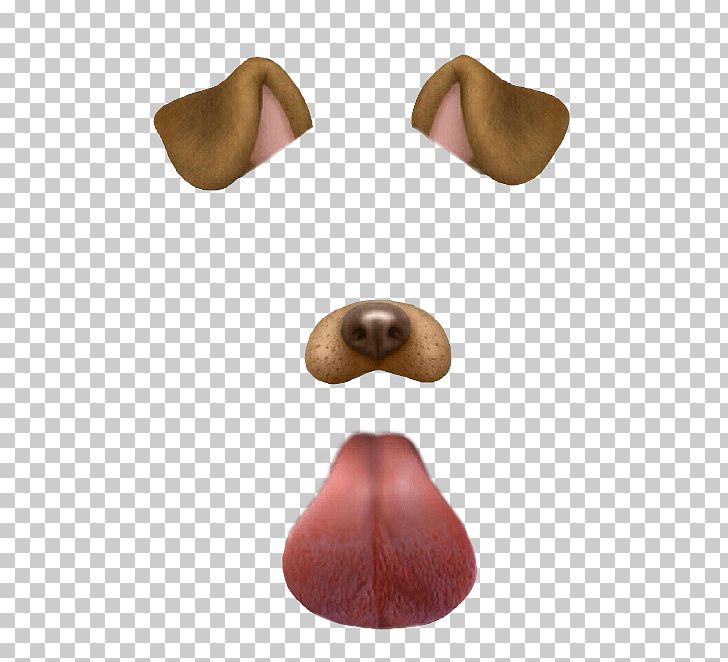 Dalmatian Dog Snapchat Photographic Filter PNG, Clipart, Application Software, Clip Art, Dalmatian Dog, Dog, Filters Free PNG Download