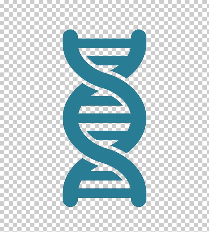 DNA Nucleic Acid Double Helix Artificial Gene Synthesis PNG, Clipart, Art, Artificial Gene Synthesis, Brand, Cloning, Dna Free PNG Download