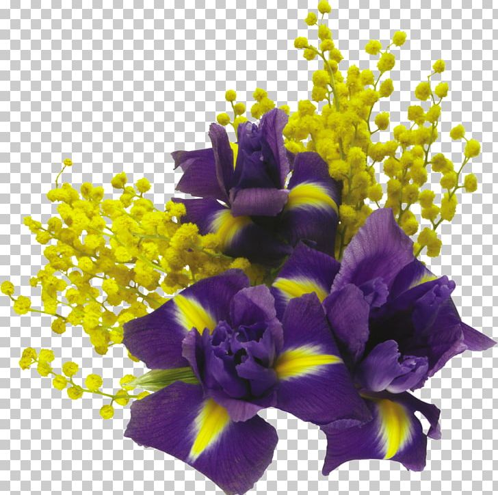 Information PNG, Clipart, Albom, Animation, Computer Software, Cut Flowers, Digital Image Free PNG Download