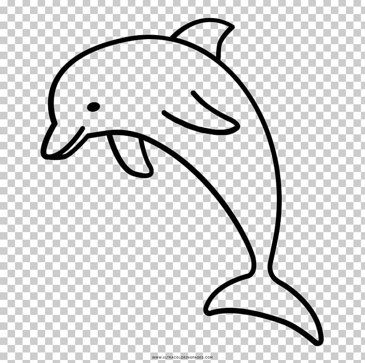 River Dolphin Drawing Computer Icons PNG, Clipart, Animal, Animals, Aquatic Animal, Artwork, Beak Free PNG Download