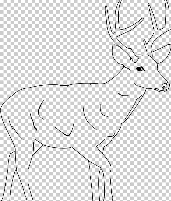White-tailed Deer Elk Reindeer Antelope PNG, Clipart, Animal, Animals, Antelope, Antler, Artwork Free PNG Download