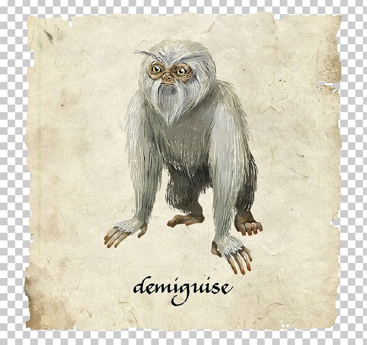 Fantastic Beasts And Where To Find Them Jacob Kowalski Apes And Monkeys Magical Creatures In Harry Potter PNG, Clipart, Ancient Time, Animals, Apes And Monkeys, Balloon Cartoon, Book Free PNG Download