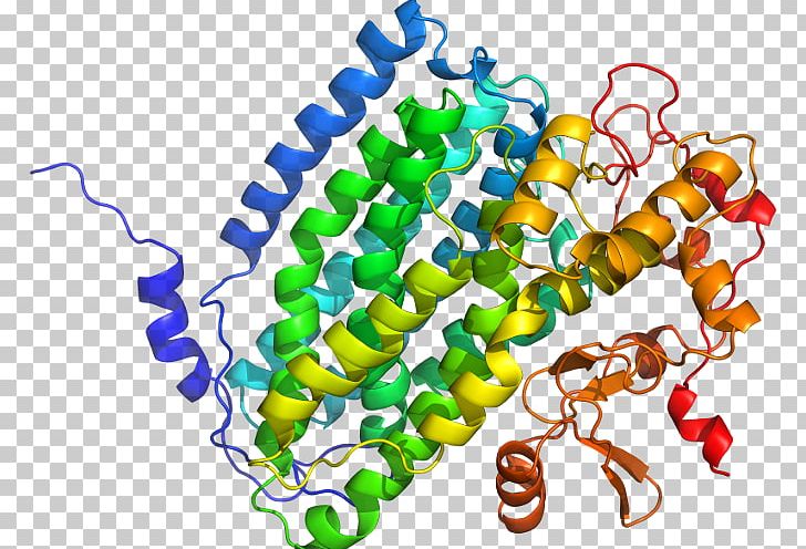 FNTA FNTB Farnesyltransferase Geranylgeranyltransferase Type 1 Enzyme PNG, Clipart, Cytochrome P450, Enzyme, Farnesyltransferase, Fnta, Fntb Free PNG Download