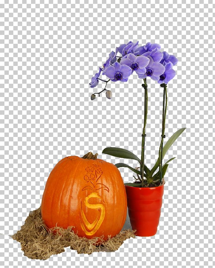 Pumpkin Floristry Cut Flowers Flowerpot PNG, Clipart, Cucurbita, Cut Flowers, Floristry, Flower, Flowering Plant Free PNG Download