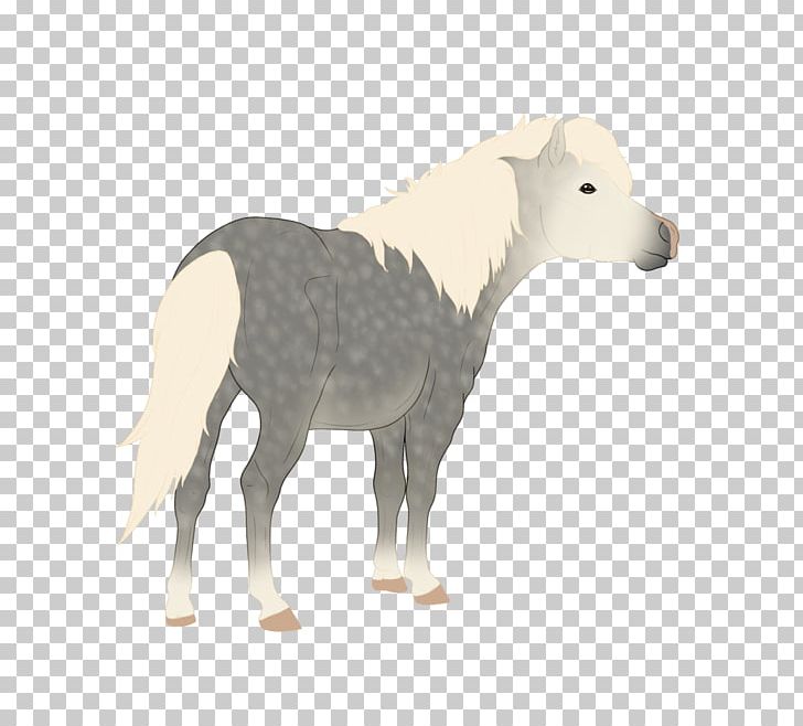 Sheep Mustang Stallion Donkey Cattle PNG, Clipart, Animal, Animal Figure, Animals, Avenue Q, Cattle Free PNG Download