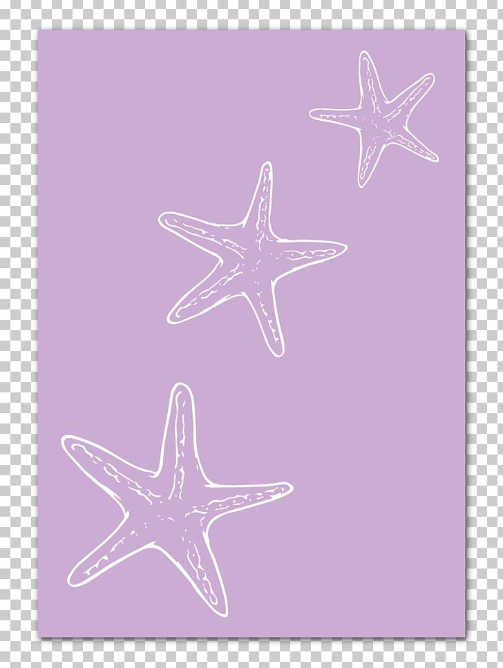 Starfish Line Pink M PNG, Clipart, Animals, Echinoderm, Invertebrate, Line, Marine Invertebrates Free PNG Download