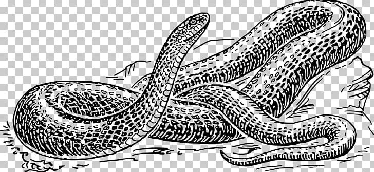 Black Rat Snake Drawing PNG, Clipart, Animals, Artwork, Black And White, Black Rat Snake, Copperhead Free PNG Download
