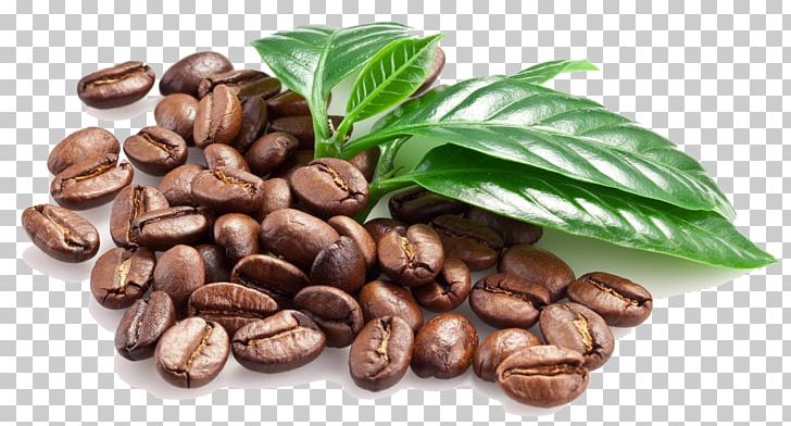 Coffee Bean Espresso Caffxe8 Macchiato PNG, Clipart, Bean, Beans, Cafe, Caffeine, Caffxe8 Macchiato Free PNG Download