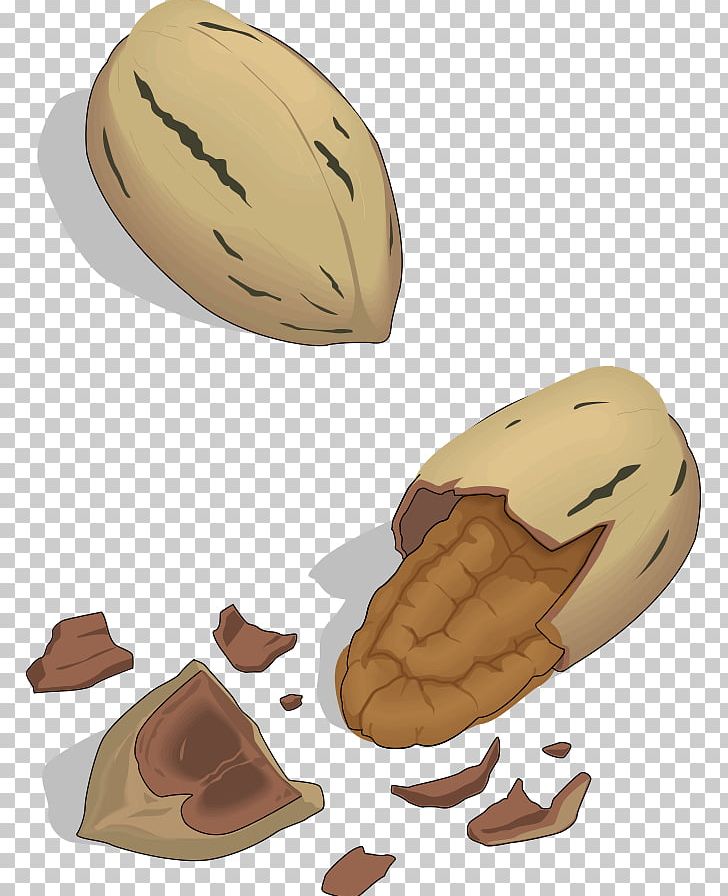 Nut PNG, Clipart, Acorn, Egg, Finger, Food, Free Content Free PNG Download