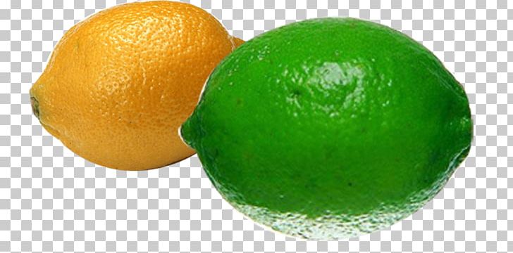 Persian Lime Lemon Key Lime Tangelo PNG, Clipart, Bitter Orange, Citric Acid, Citron, Citrus, Didi N Friends Nana Free PNG Download