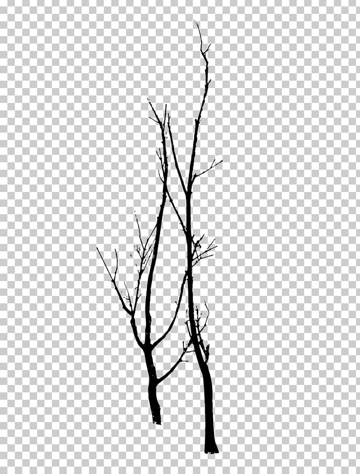 Tree Branch PNG, Clipart, Black And White, Branch, Christmas Tree, Drawing, Flora Free PNG Download