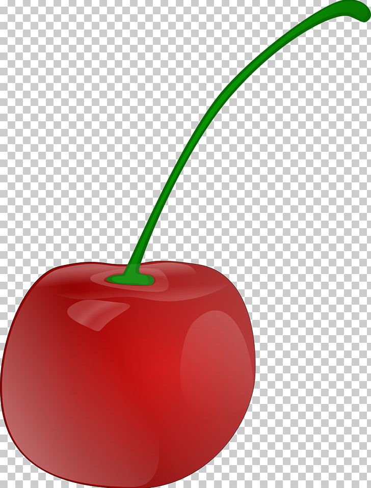 Cherry Fruit PNG, Clipart, Blog, Cherry, Computer Icons, Download, Food Free PNG Download
