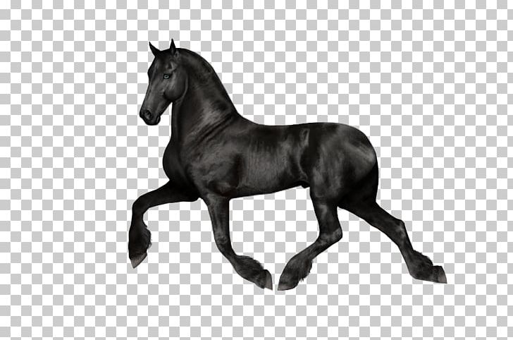 Foal Rein Stallion Colt Mustang PNG, Clipart, Black, Black, Black And White, Bridle, Camping Free PNG Download