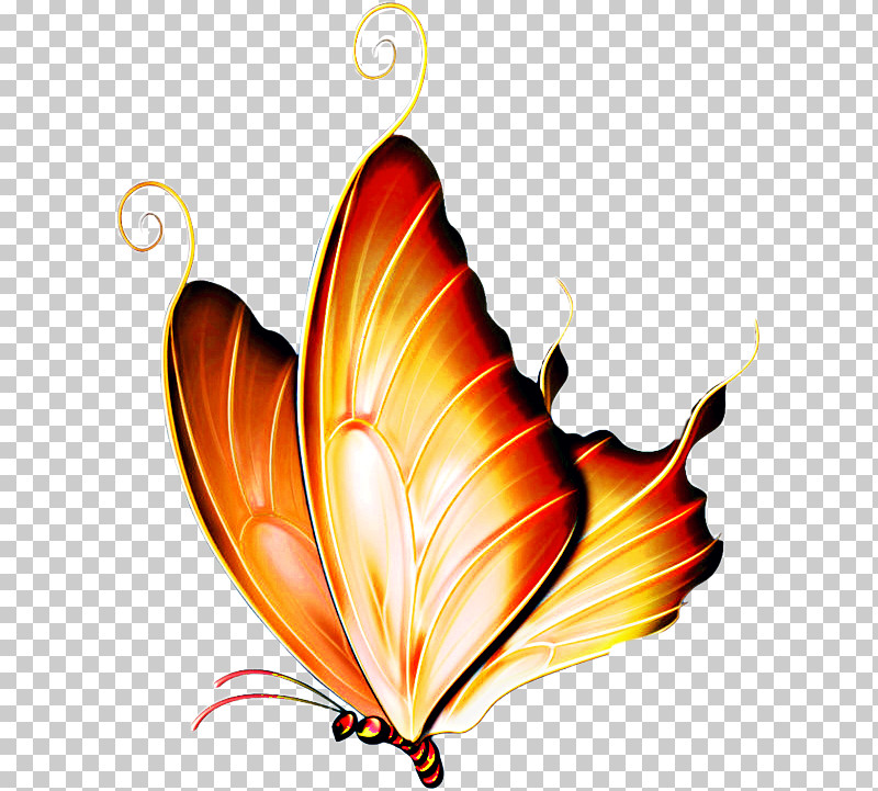 Butterfly Heart Moths And Butterflies Leaf Pollinator PNG, Clipart, Butterfly, Heart, Insect, Leaf, Love Free PNG Download