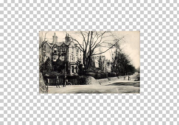 Highgate Paper Hampstead Lane Poster Tree PNG, Clipart, Arch, Black And White, Cottage Hill Road, Facade, Hampstead Lane Free PNG Download