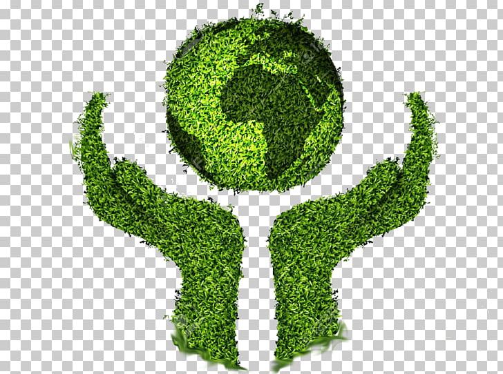 Natural Environment Ecology Nature Natural Resource Life PNG, Clipart, Arm, Ecology, Grass, Green, Lawn Free PNG Download