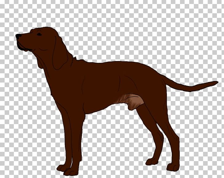 Redbone Coonhound Labrador Retriever Dog Breed Puppy Black And Tan Coonhound PNG, Clipart, Animals, Black And Tan Coonhound, Bloodhound, Bluetick Coonhound, Breed Free PNG Download